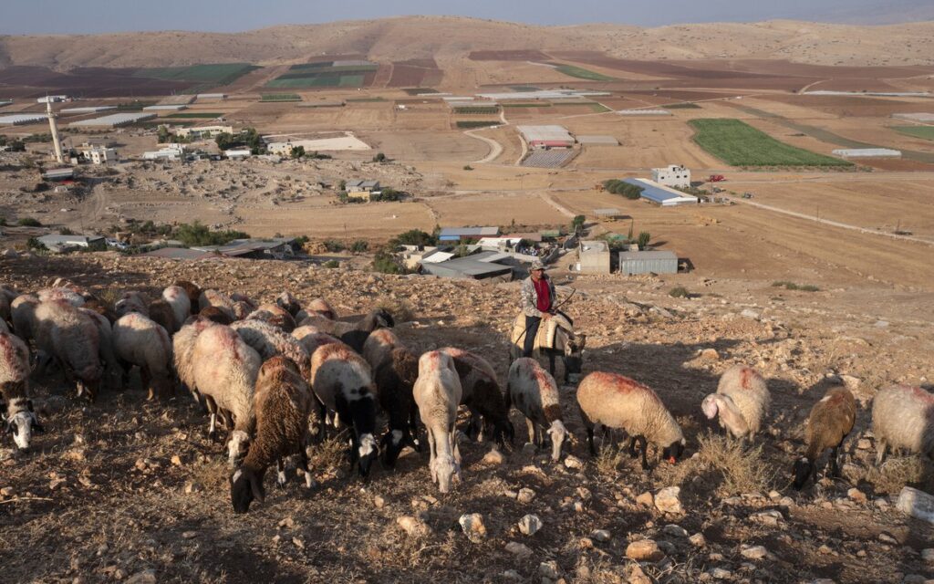 occupied Palestine territories