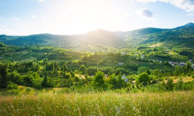 A picture of fields, trees, Mountain and Sun