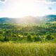 A picture of fields, trees, Mountain and Sun