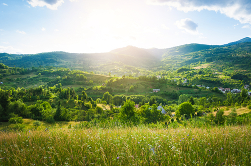 A picture of fields, trees, Mountain and Sun