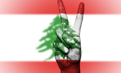 Image by David Peterson from Pixabay