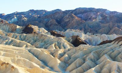 Photo by Abby Kihano from Pexels