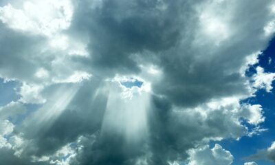 Photo by Angele J from Pexels