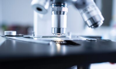 Photo by Chokniti Khongchum from Pexels