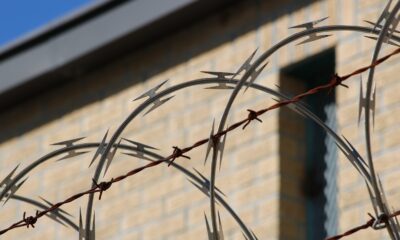 Photo by Craig Lloyd from Pexels