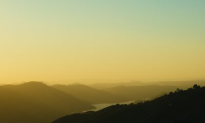 Photo by Athena from Pexels