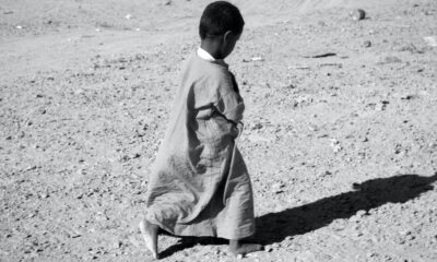 Photo by Renato Danyi from Pexels