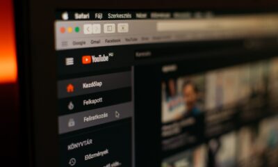 Harmful effects of AI