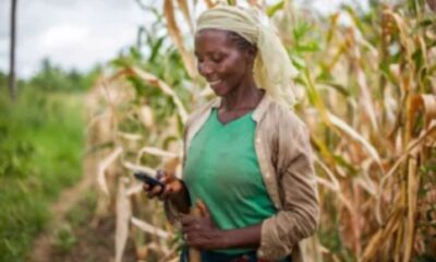 Agriculture in Africa