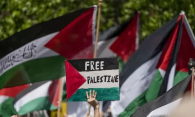 protester with a "free palestine" sign