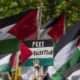 protester with a "free palestine" sign