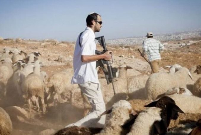 Israeli settlers attacking a shepherd