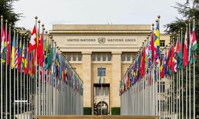 If-Law-Still-Means-Anything