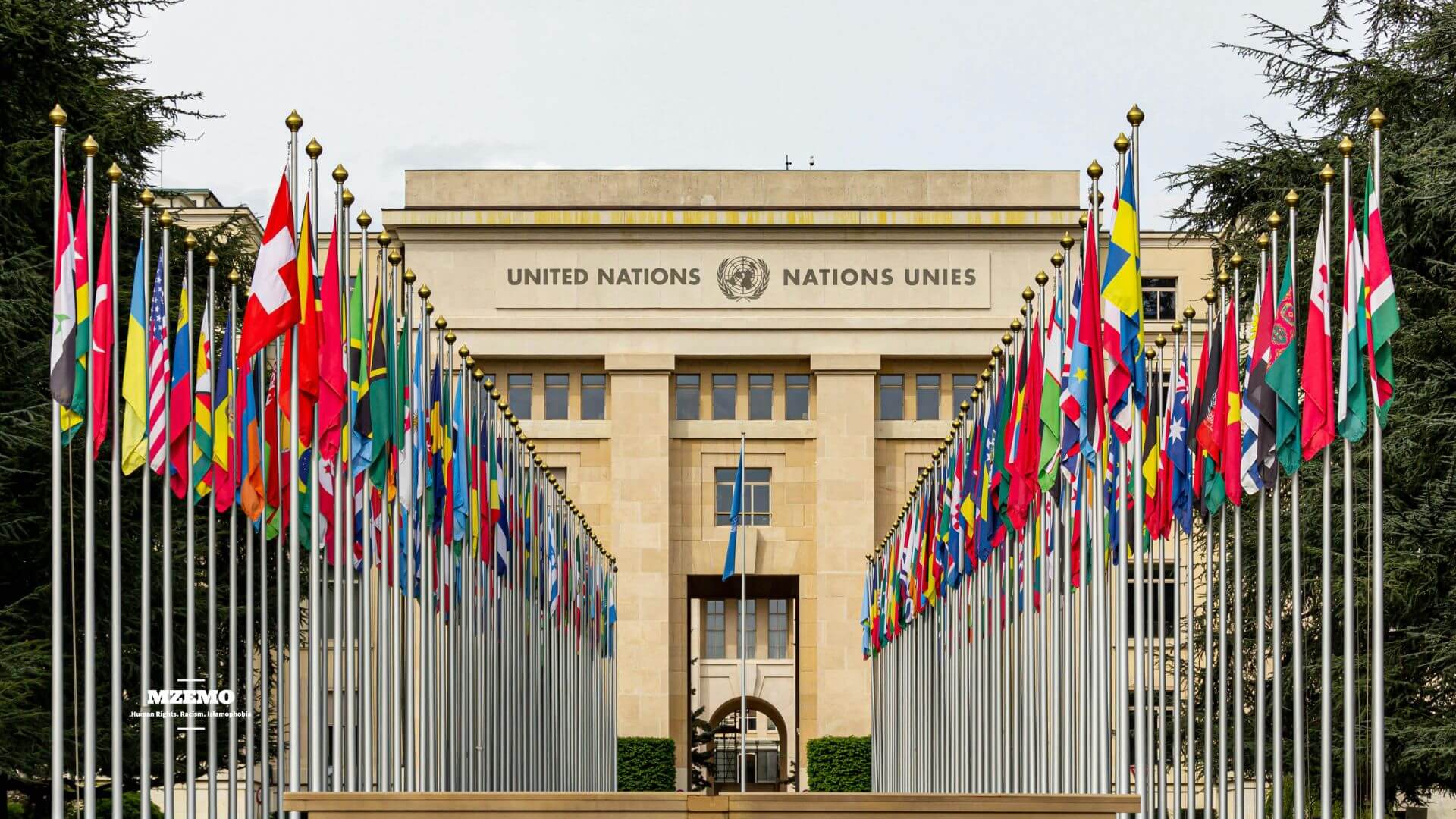 If-Law-Still-Means-Anything