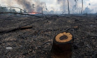 How-the-World-Is-Losing-an-Entire-Generation