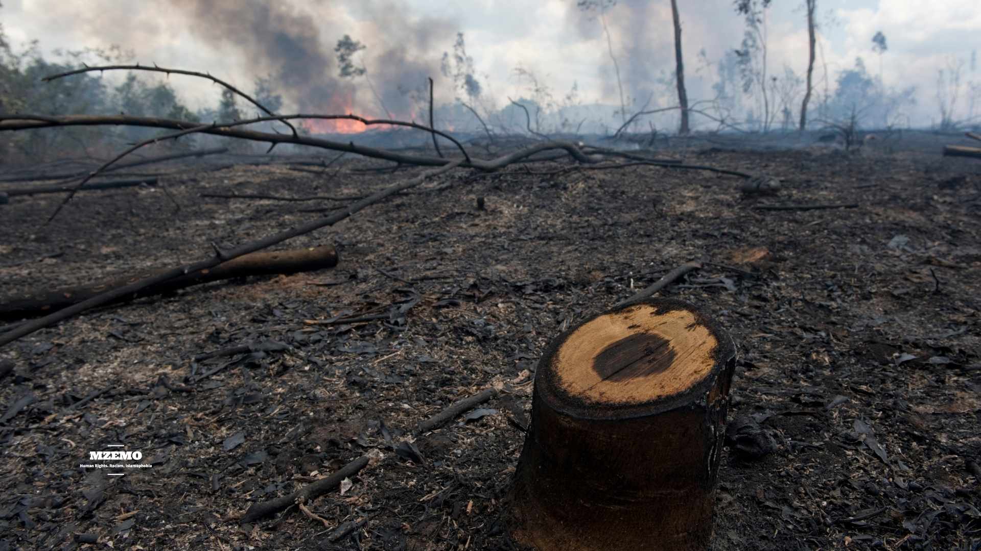 How-the-World-Is-Losing-an-Entire-Generation