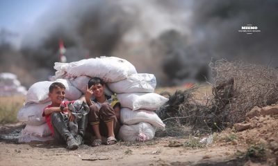 How-Gaza-Is-Losing-the-People-It-Needs-to-Survive
