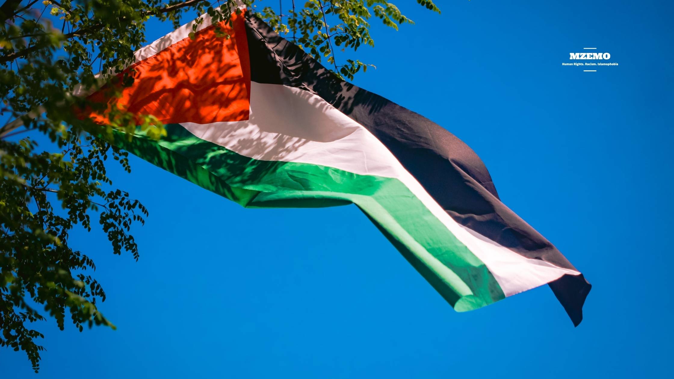 Palestines-Stolen-Heritage-From-Gazas-Mosques-to-Sebastia