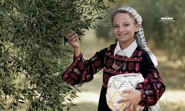 Israels-Settlers-Are-Burning-Palestines-Olive-Harvest-and-Its-Future