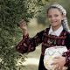 Israels-Settlers-Are-Burning-Palestines-Olive-Harvest-and-Its-Future